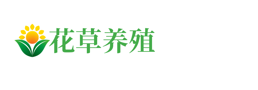 为什么openai的sdk只提供了python和js两个版本？_保险人代理网站678